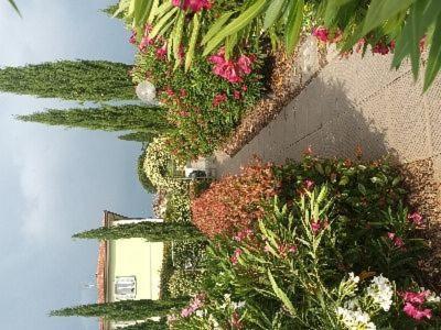 אלטופאשיו Villa Manuela מראה חיצוני תמונה